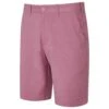 PING Men's Bradley Shorts - Raspberry