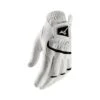 Mizuno Men's Elite Glove