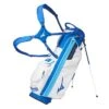 Mizuno BR-D3 2021 Stand Bag -Every Golf Day Store brd3 staff 1